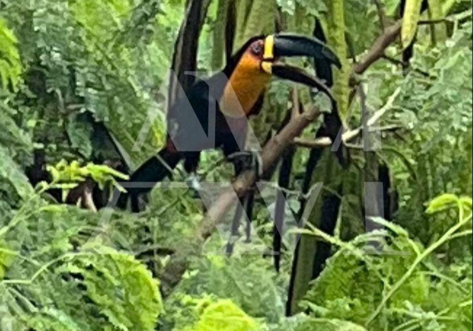 frames-residence-alicson-machado (26)